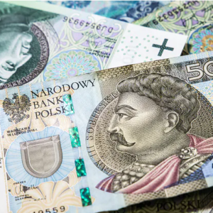 300-500 zł/1m² netto